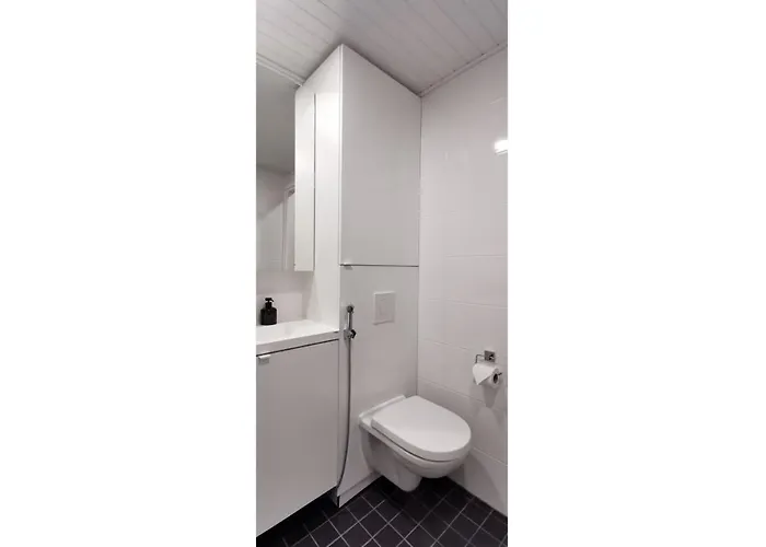 公寓 New And Cozy In The Centrum Of